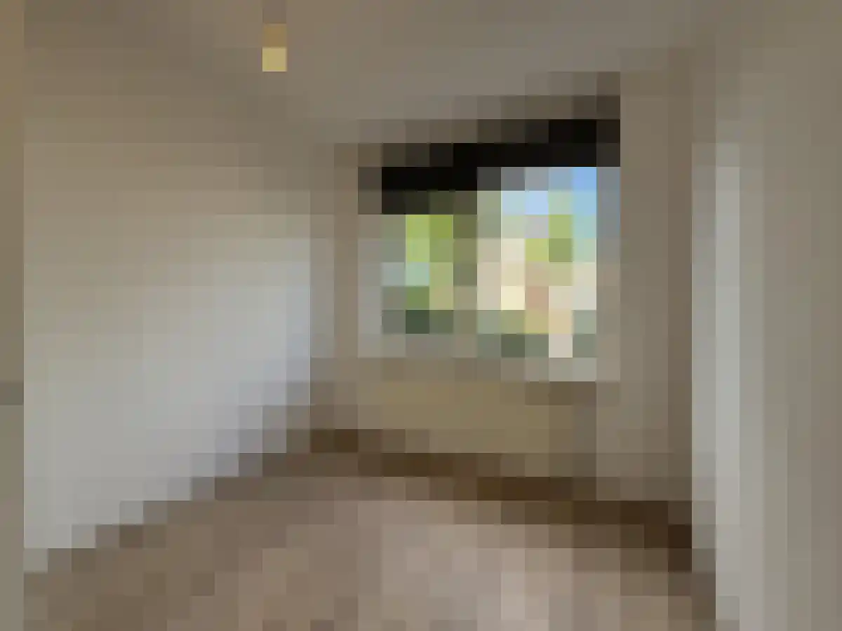 Botter 38 Nijkerk thumbnail 5