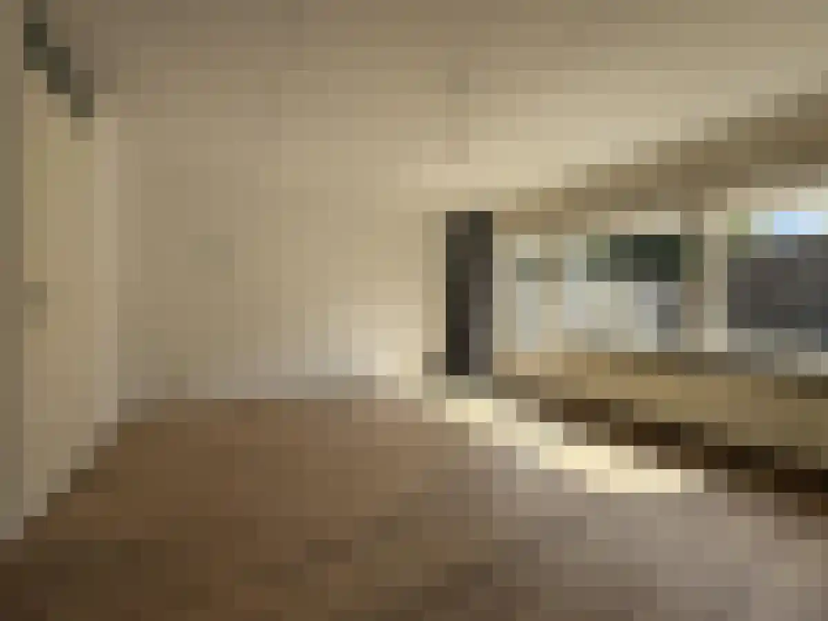 Botter 38 Nijkerk thumbnail 6
