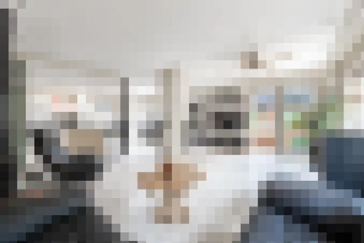 Botter 39 9 Lelystad thumbnail 18
