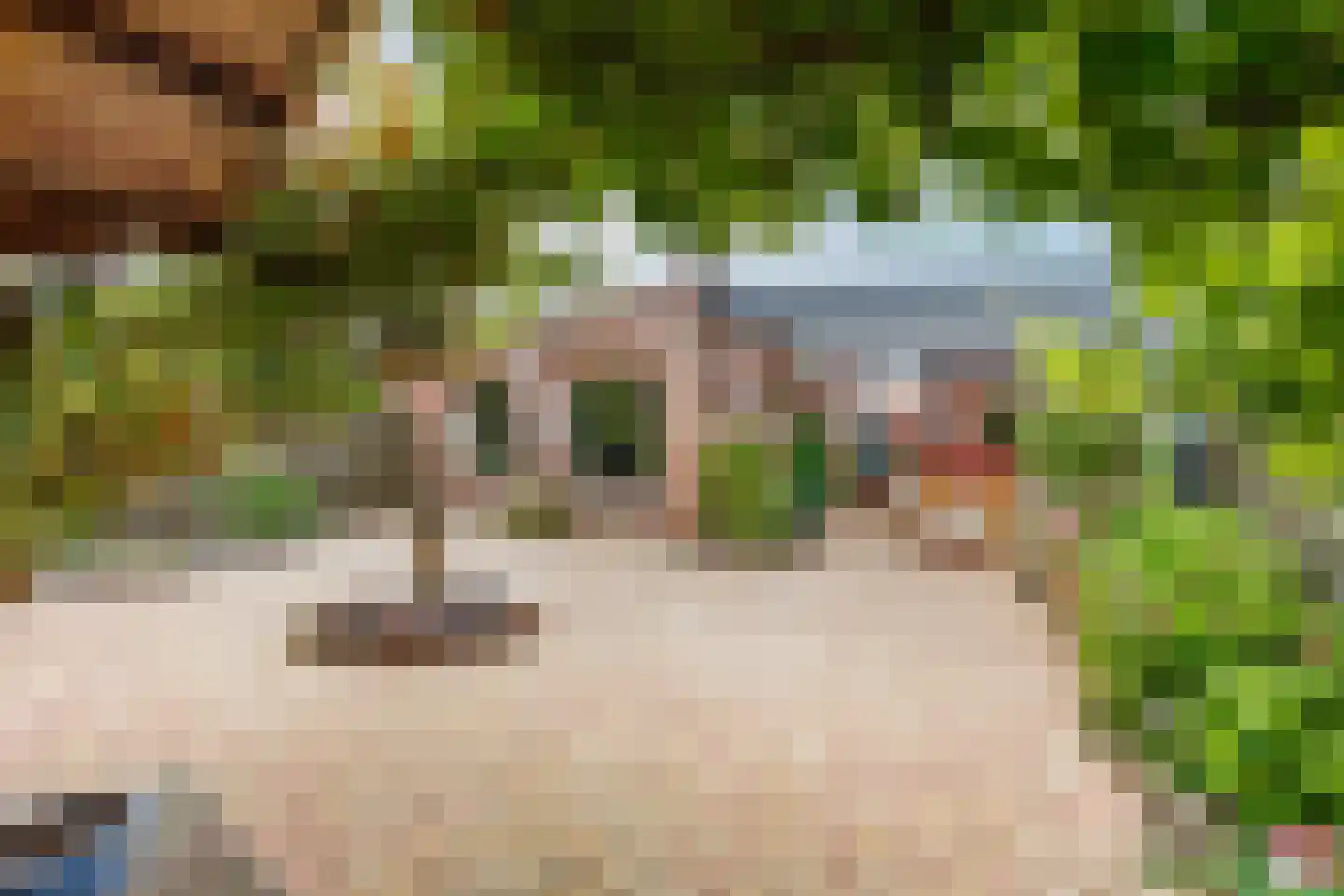 Botter 39 9 Lelystad thumbnail 32