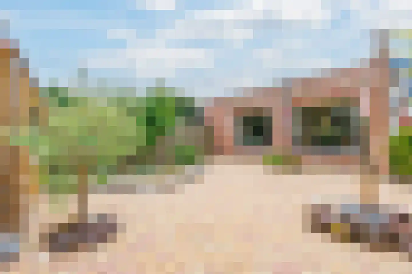 Botter 39 9 Lelystad thumbnail 33