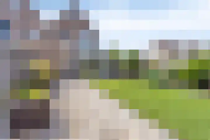 Botter 39 Volendam thumbnail 21