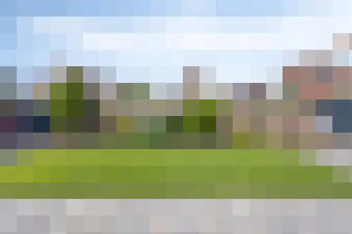 Botter 39 Volendam thumbnail 22