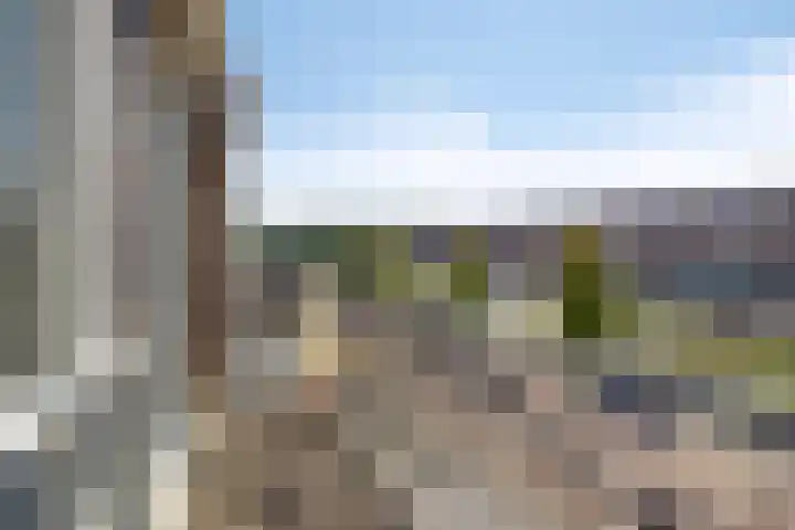 Botter 39 Volendam thumbnail 30