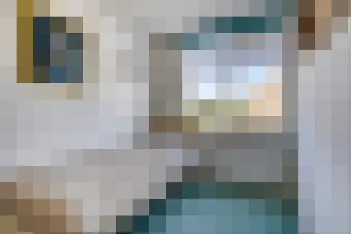 Botter 39 Volendam thumbnail 32