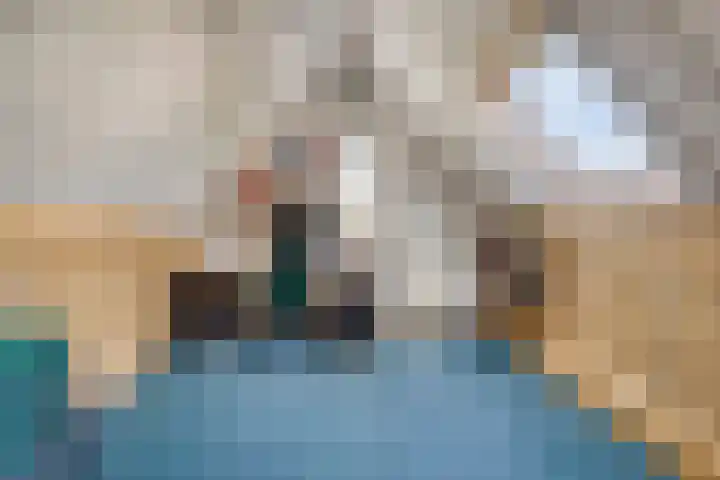 Botter 39 Volendam thumbnail 39