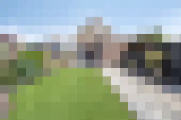 Botter 39 Volendam thumbnail 4