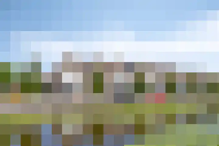 Botter 39 Volendam thumbnail 42