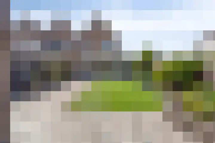 Botter 39 Volendam thumbnail 43