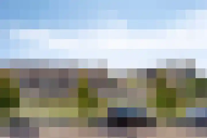 Botter 39 Volendam thumbnail 44