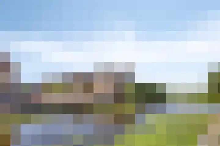 Botter 39 Volendam thumbnail 45