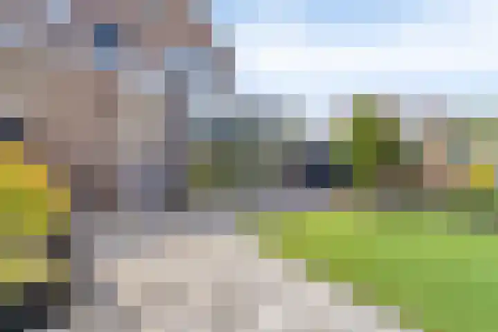 Botter 39 Volendam thumbnail 5