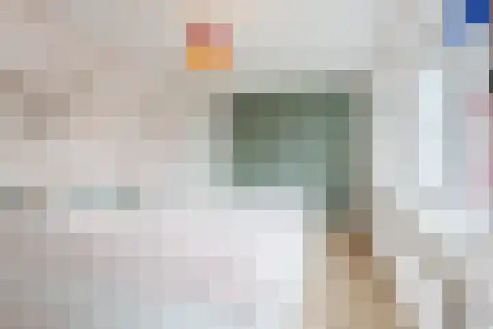Botter 4 Woerden thumbnail 22