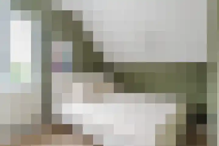 Botter 4 Woerden thumbnail 23