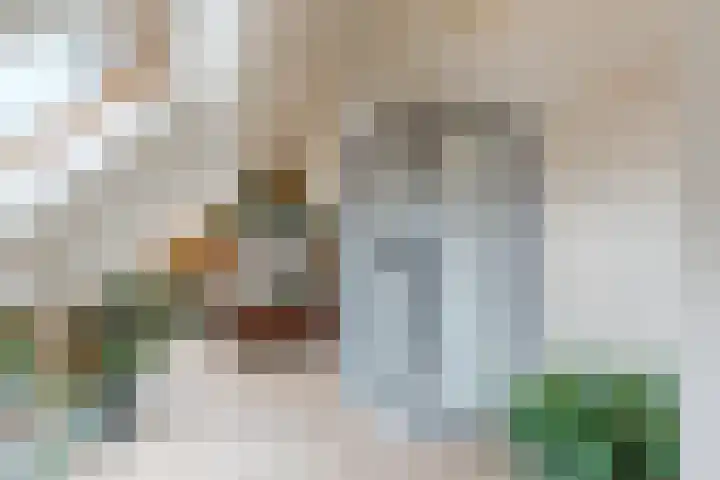 Botter 4 Woerden thumbnail 30