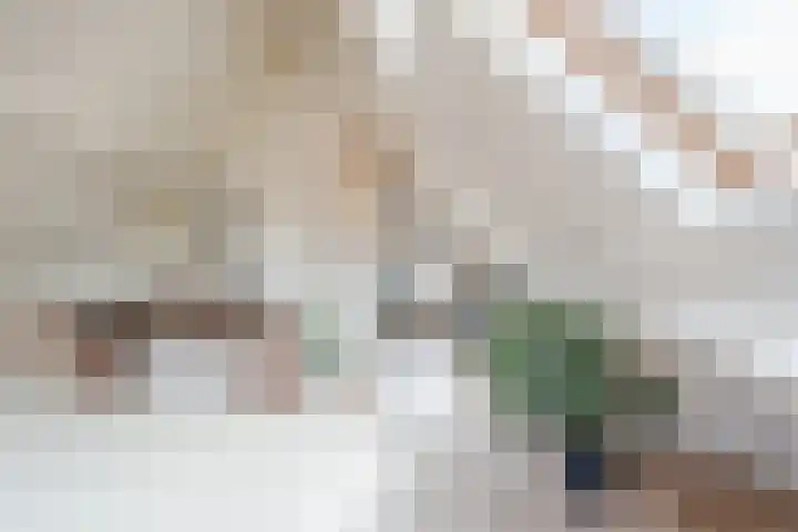 Botter 4 Woerden thumbnail 32