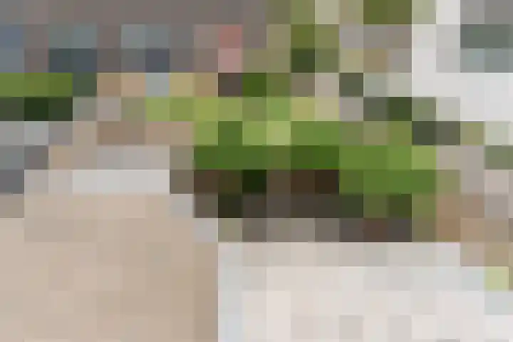 Botter 4 Woerden thumbnail 34