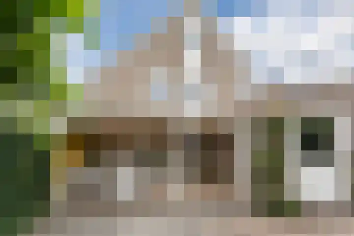 Botter 4 Woerden thumbnail 35