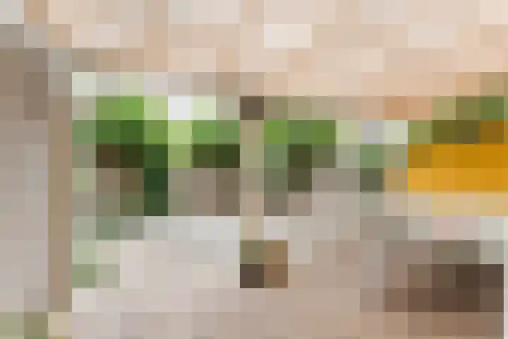 Botter 4 Woerden thumbnail 36