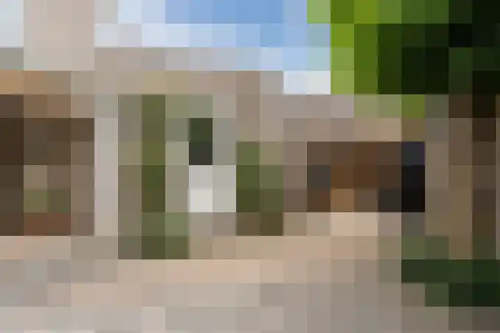 Botter 4 Woerden thumbnail 37