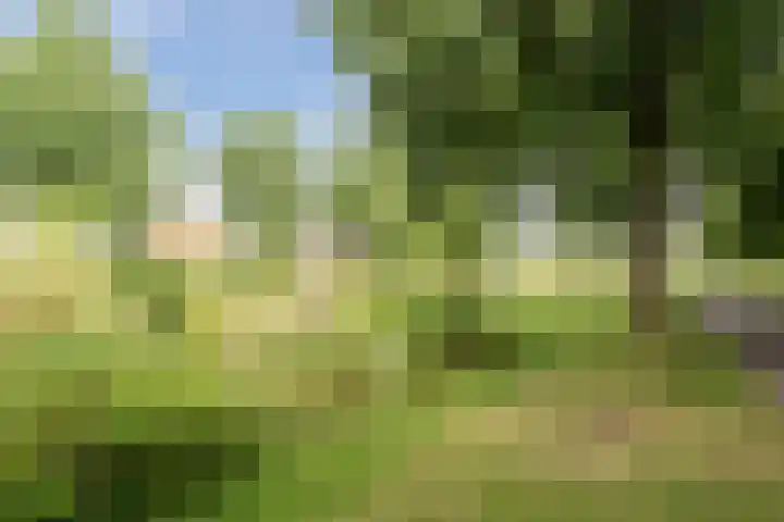 Botter 4 Woerden thumbnail 39