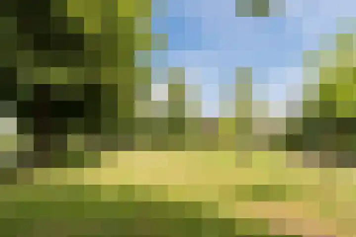 Botter 4 Woerden thumbnail 40