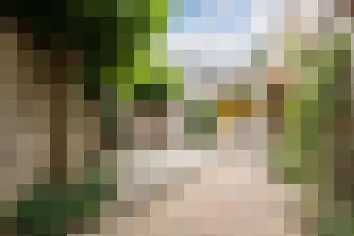 Botter 4 Woerden thumbnail 6