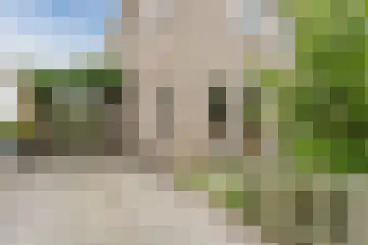 Botter 4 Woerden thumbnail 7