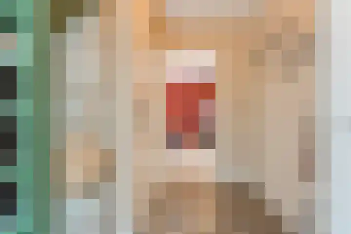 Botter 4 Woerden thumbnail 9