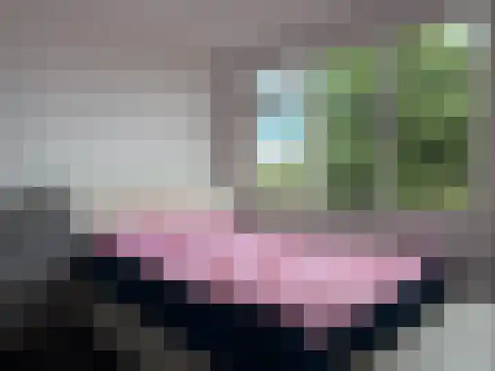 Botter 40 40 14 Lelystad thumbnail 10