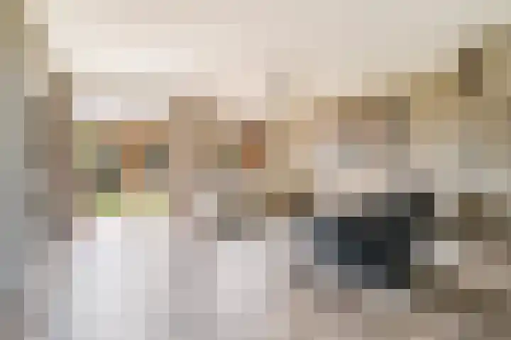 Botter 40 40 60 Lelystad thumbnail 10