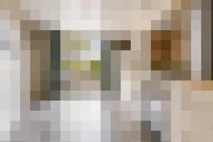 Botter 40 40 60 Lelystad thumbnail 14