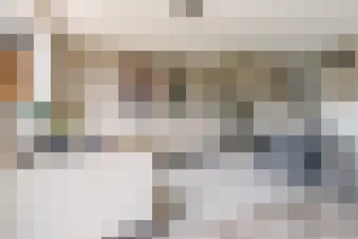 Botter 40 40 60 Lelystad thumbnail 9