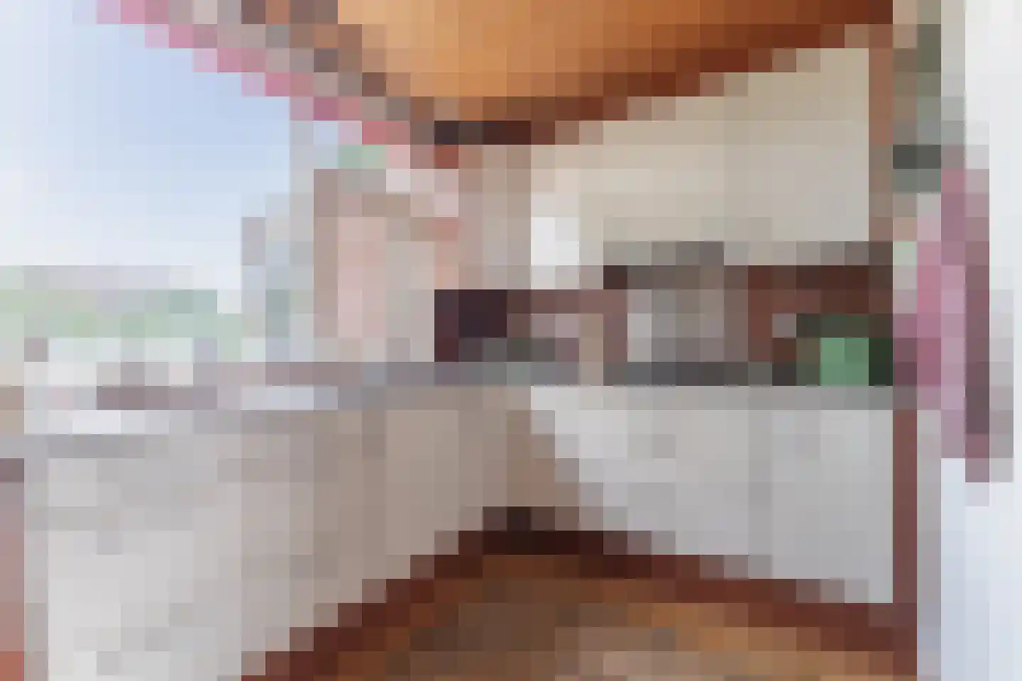 Botter 40 58 Lelystad thumbnail 14