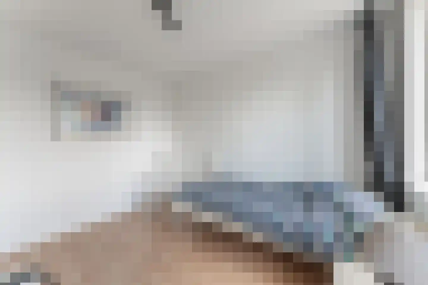 Botter 40 58 Lelystad thumbnail 24