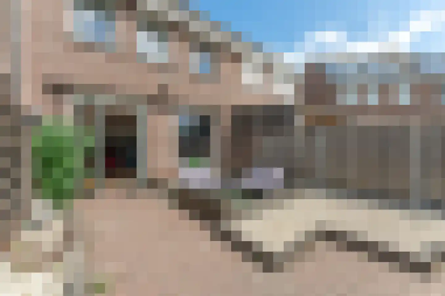Botter 40 58 Lelystad thumbnail 38