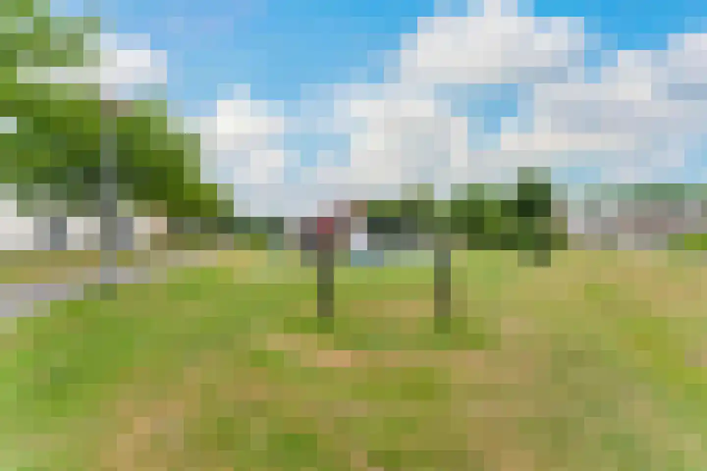 Botter 40 58 Lelystad thumbnail 6