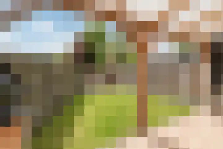 Botter 40 60 Lelystad thumbnail 31