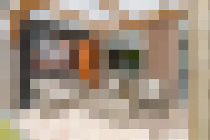 Botter 40 60 Lelystad thumbnail 34