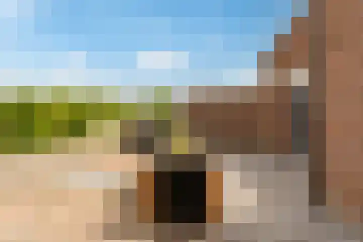 Botter 40 60 Lelystad thumbnail 36