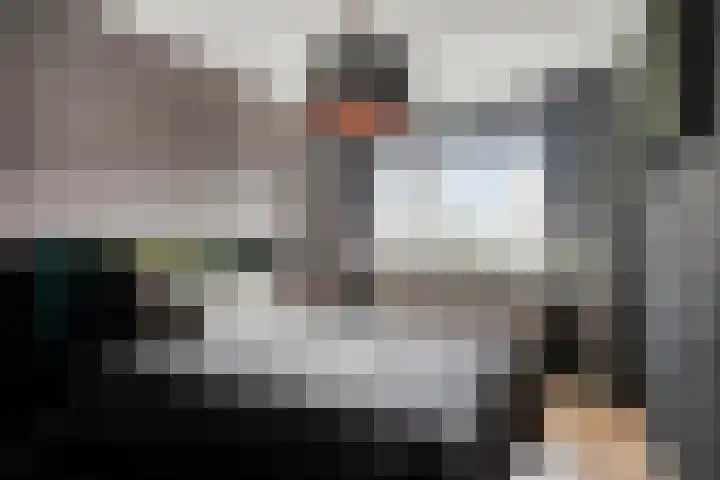 Botter 40 Bunschoten-Spakenburg thumbnail 15