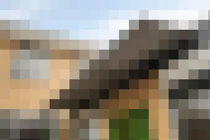 Botter 40 Bunschoten-Spakenburg thumbnail 26