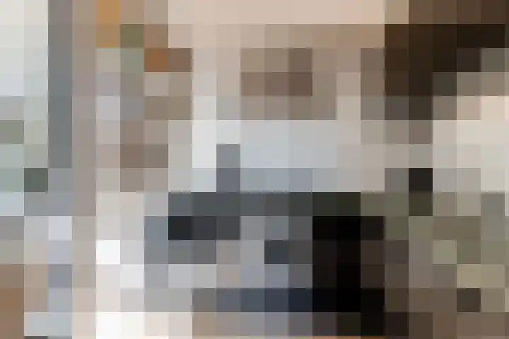 Botter 41 29 Lelystad thumbnail 12