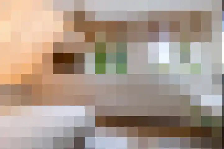 Botter 41 29 Lelystad thumbnail 20