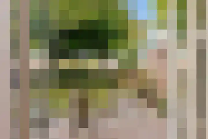 Botter 41 29 Lelystad thumbnail 31