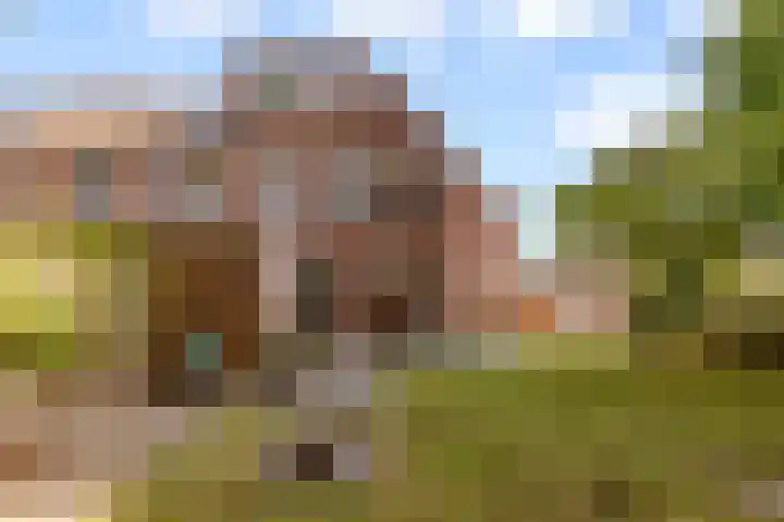 Botter 41 29 Lelystad thumbnail 32