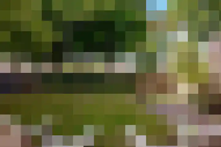 Botter 41 29 Lelystad thumbnail 33