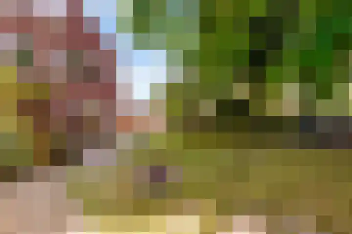 Botter 41 29 Lelystad thumbnail 36