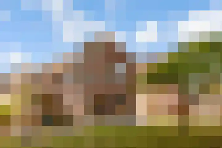 Botter 41 29 Lelystad thumbnail 44