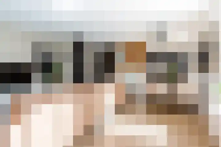 Botter 41 29 Lelystad thumbnail 6